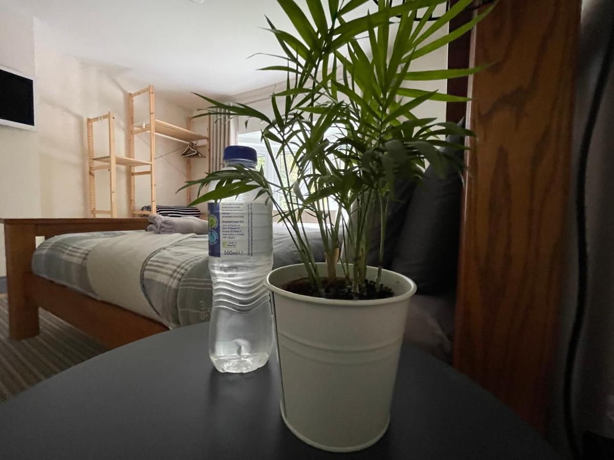 Dolwen Snowdonia Home By Polkastays كارنارفون المظهر الخارجي الصورة